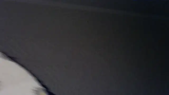 Fudzik0 Live XXX Chat