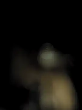 ch___ro69 Pertunjukan Webcam
