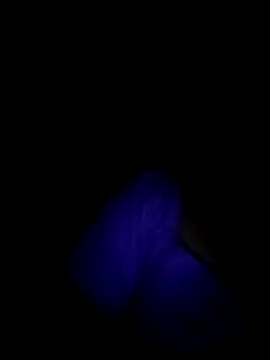Show de webcam de vulgovic_