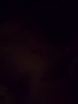 Show de webcam de Payque