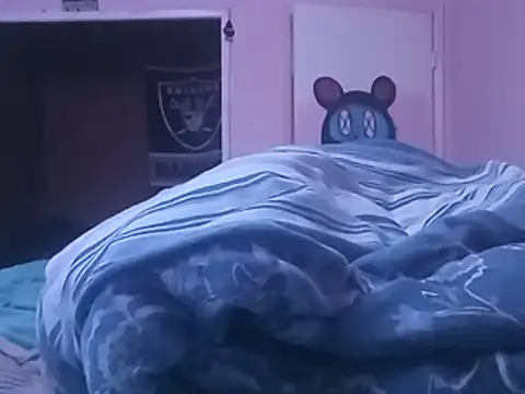 عرض كام Blkstylion