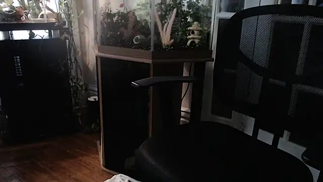 Chat XXX en directo de EspanolVato