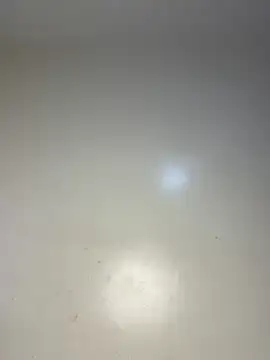Reecekay XXX чат на живо