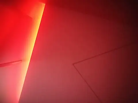 PapasFrys Show in webcam