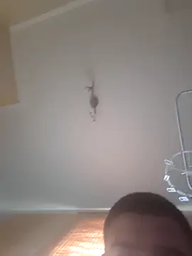 szymoekn Webbikameraesitys