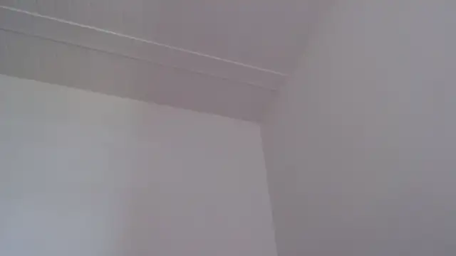 ElizabethMiler – Naživo XXX chat
