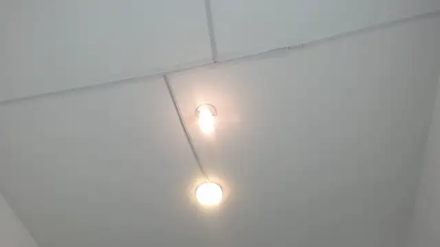 PhillipCox's Live XXX Chat