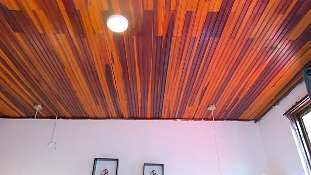 katiamoree's Live XXX Chat