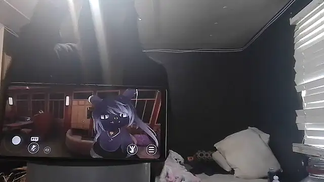 spooky425hd's Webcam Show