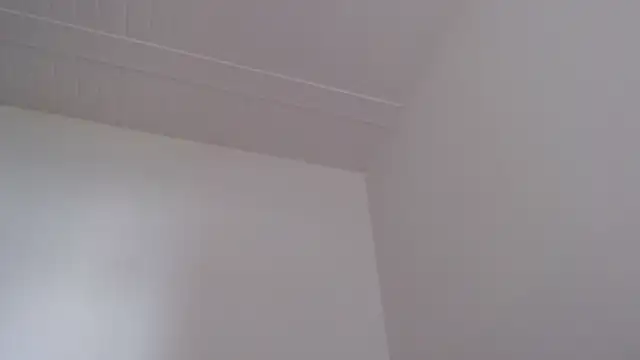 ElizabethMiler 现场XXX聊天