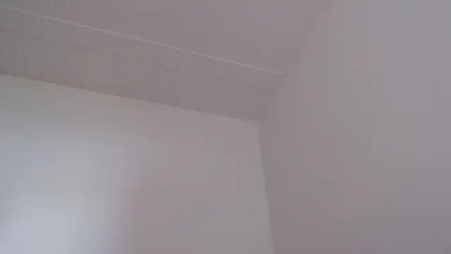 Chat +18 de ElizabethMiler ao vivo