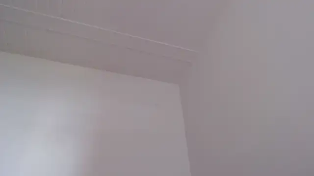 צ'אט XXX בשידור חי של ElizabethMiler