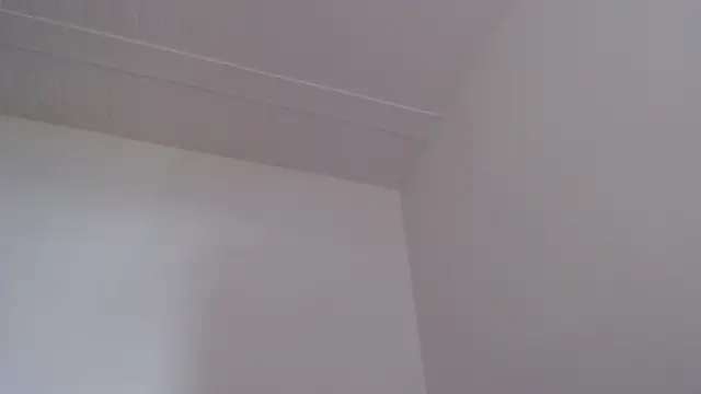 ElizabethMiler's Live XXX Chat
