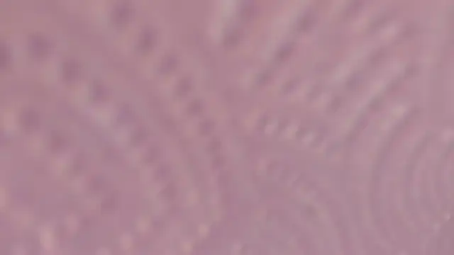 Elizabeth_rocheeのライブXXXチャット