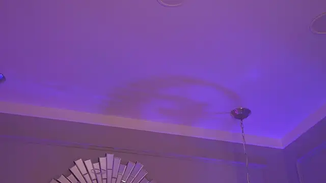 צ'אט XXX בשידור חי של GinaFleming