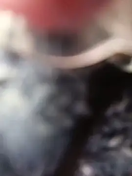 Sembang XXX Secara Langsung Dulce-miamilf