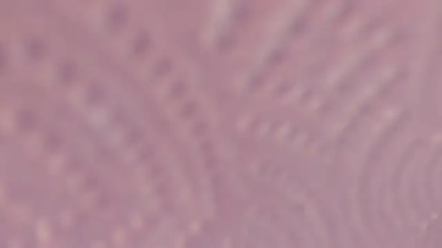 Živý XXX chat Elizabeth_rochee