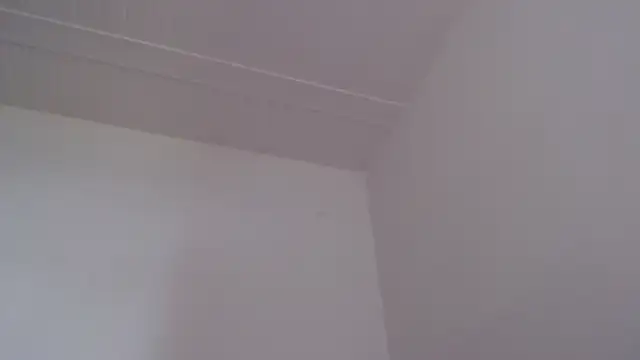 ElizabethMiler's Live XXX Chat