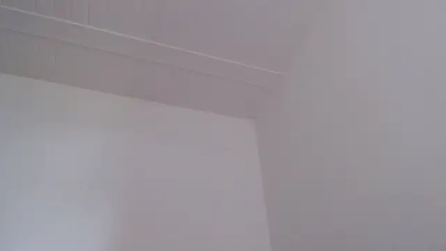 ElizabethMiler Live XXX Chat