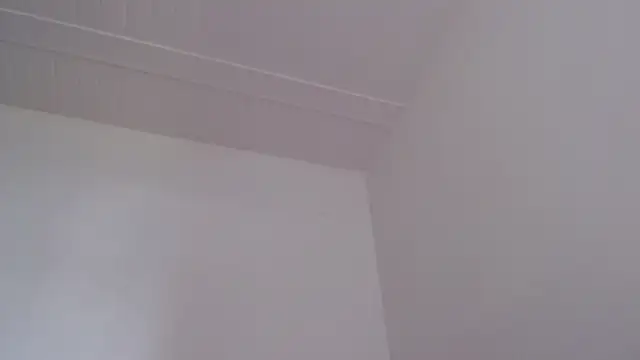 ElizabethMiler 라이브 XXX 채팅