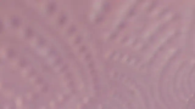 צ'אט XXX בשידור חי של Elizabeth_rochee