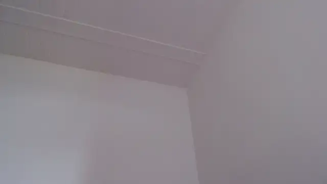 ElizabethMiler Live XXX-Chat