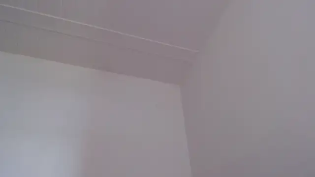 Živý XXX chat ElizabethMiler