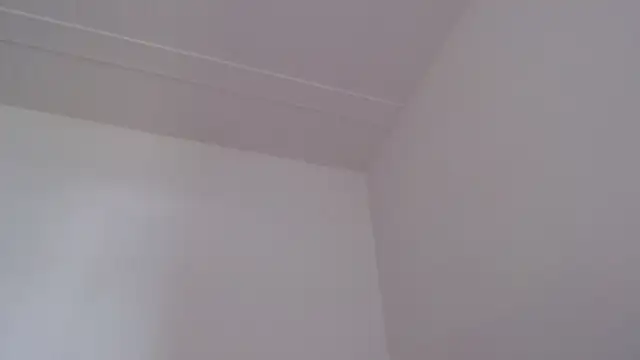 ElizabethMiler Live XXX-chat