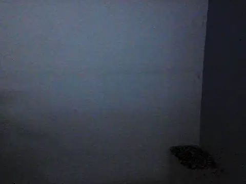 Chat XXX Live Kalel17073
