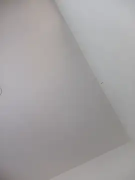 Valentina_Narvaez élő XXX-chatje