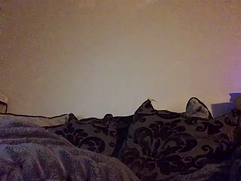 xxamyleighxx 라이브 XXX 채팅
