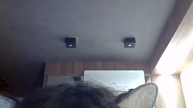 Show de SkinnyKitten na webcam