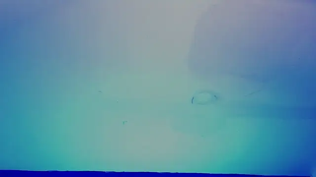 LiamDeep XXX чат на живо