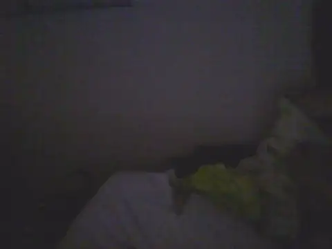 Bebita-zmp's Live XXX Chat