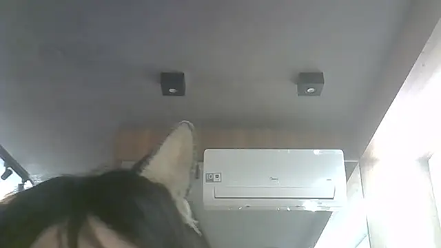 SkinnyKitten Live XXX Chat