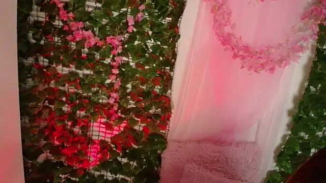 دردشة RosseCollins الجنسية المباشرة
