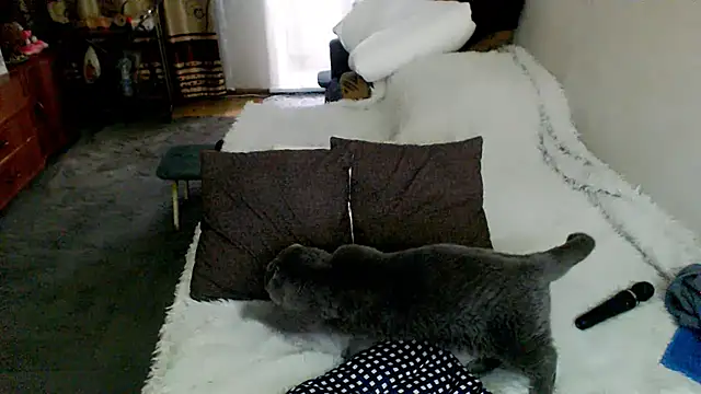 sex2's Live XXX Chat