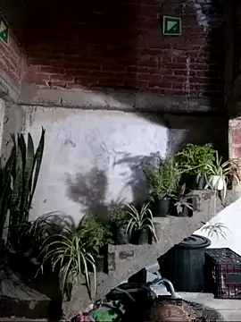 CardoMartinez01n Webbikameraesitys