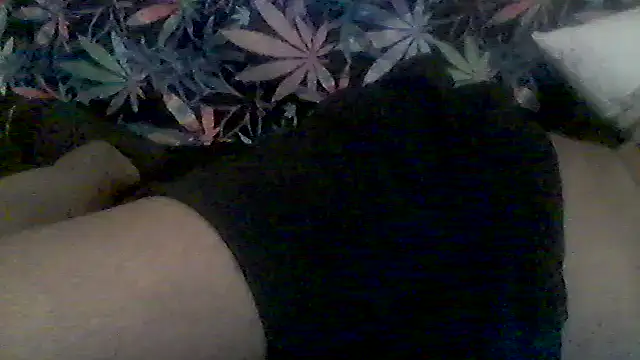 libraxxxstudios Chat XXX in diretta