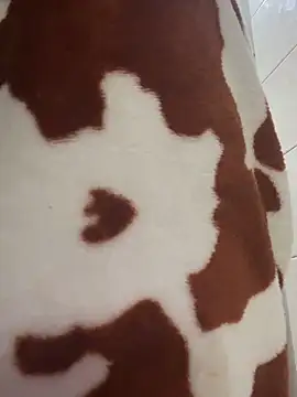 Chat XXX ao vivo de NassFit2