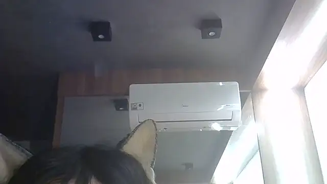 SkinnyKitten's Webcam Show