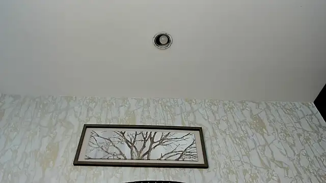 DenzelRiosn Webbikameraesitys