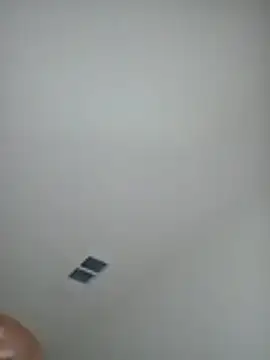 boiipussy702's Webcam Show
