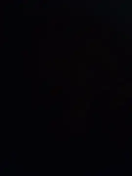 alcapone8008 Webcamshow