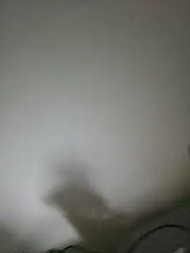 GtbaCd Live XXX-Chat