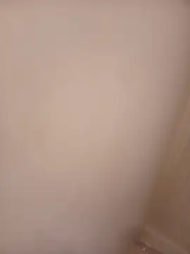 Gesonden Webbikameraesitys