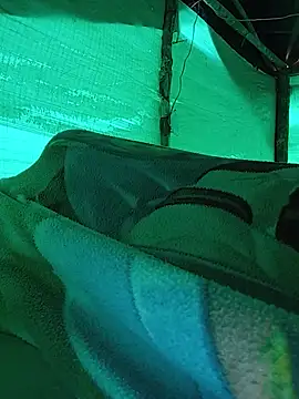 TrustingTranche 现场XXX聊天