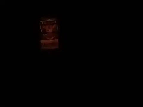 Blkstylion 网络视讯表演