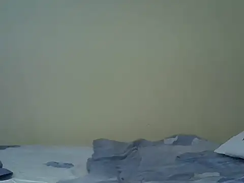 Chat XXX Live Tikobs