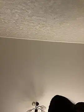 Poly_Nick 即時 XXX 聊天